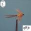 images/fluebindere/frank_fuchs/fuchs flue 3.jpg